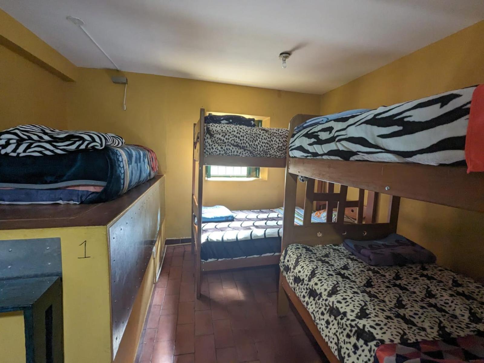 Lord Shiva Hostel クスコ エクステリア 写真